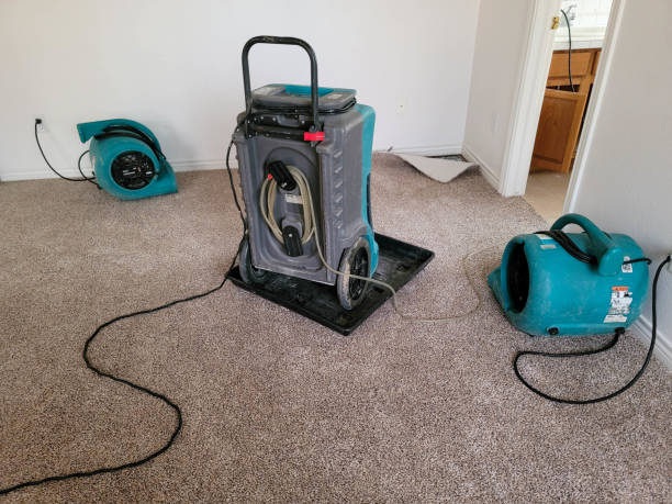 Best Local water damage restoration  in West Columbia, SC