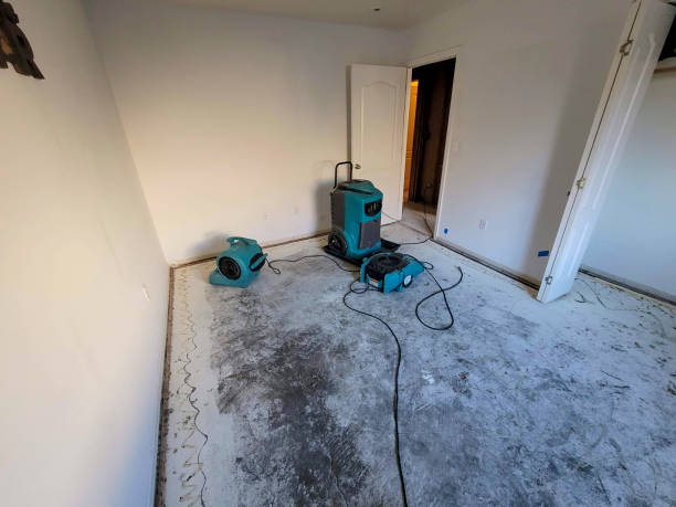 Best Water damage restoration near me  in West Columbia, SC