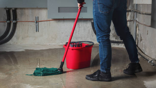 Best Flood damage cleanup  in West Columbia, SC