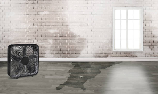 Best Flooded house restoration  in West Columbia, SC