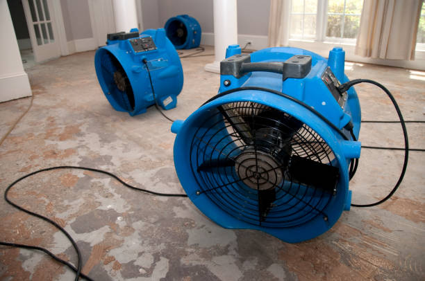 Best Professional water damage repair  in West Columbia, SC