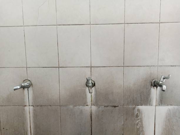 Best Water damage restoration near me  in West Columbia, SC