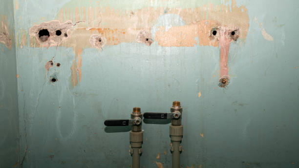 Best Flood damage cleanup  in West Columbia, SC