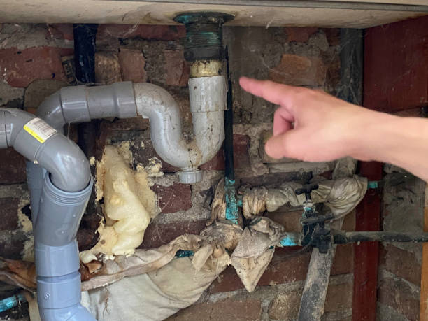 Carpet water damage restoration in SC